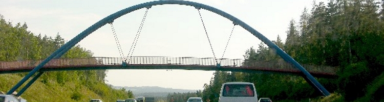 Brücke über die A9 bei Brehna